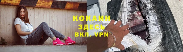 сатива Кукмор