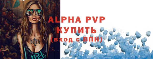 сатива Кукмор