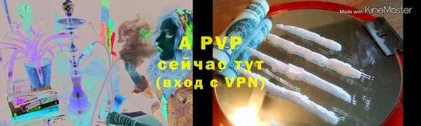 сатива Кукмор