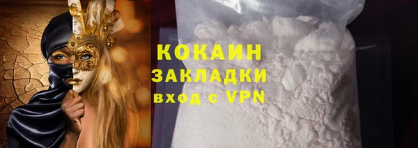 индика Губаха