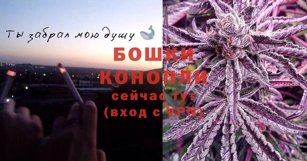 сатива Кукмор