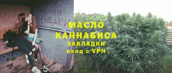 амф Кулебаки
