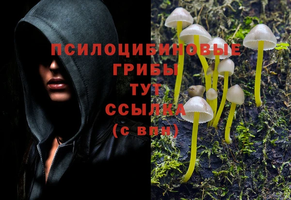 a pvp Корсаков