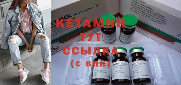 сатива Кукмор