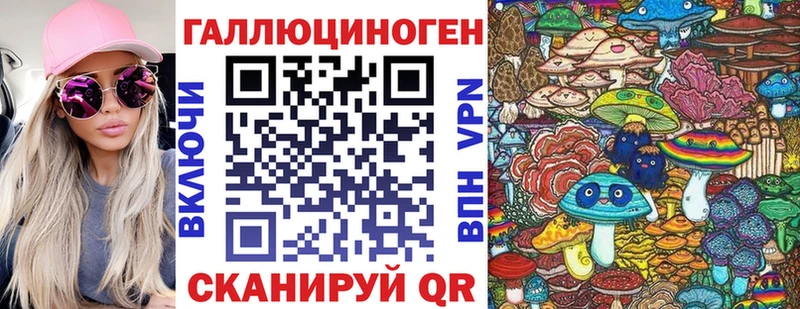 Псилоцибиновые грибы GOLDEN TEACHER  Курильск 
